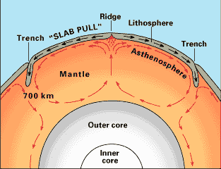 Earths structure showing the thin crust floating on the mantle. Convections currents drive the plates across the earths surface. USGS